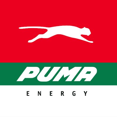 logo Cung cấp hệ thống đo mức tự động cho nhà máy Puma Bitumen HảI Phòng (Puma Energy Bitumen Vietnam ltd)