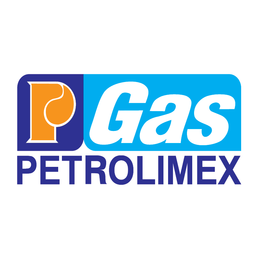 logo Dự án đo mức Kho LGP Đình Vũ – Hải Phòng (Công ty Gas Petrolimex – CTCP)